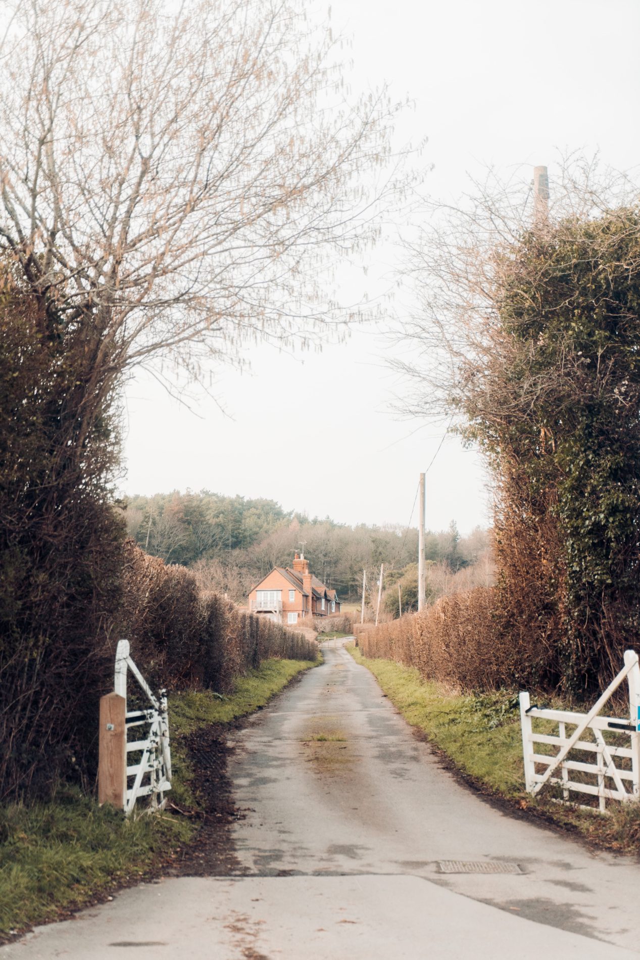 Countryroad leading to a cottage in the backgrouns. Overcast skies and brown trees and hedges either side of the road