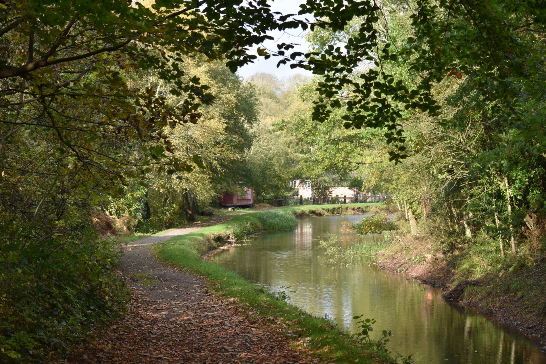 Image of a footpath next to the river through a green wooded area