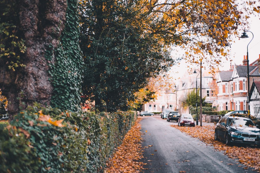 Image of a quite street with a green hedge on the left and houses with on street parking on the right.